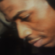 Detail crop from image photographed through T-OLED screen showing degradation