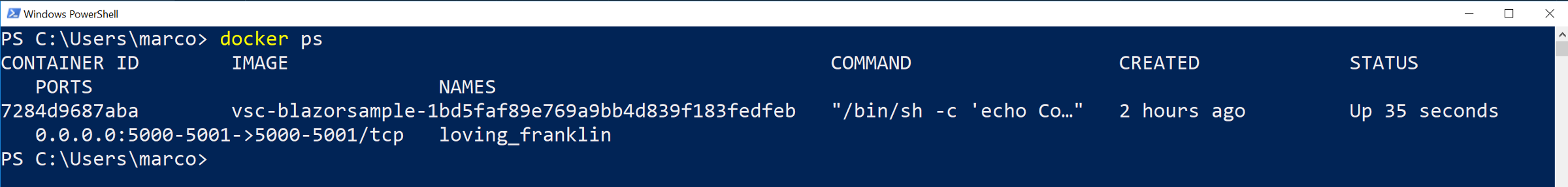 A 'docker ps' command showing the running container we are currently using.