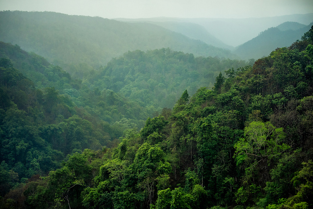 Supporting conservation of the Amazon through bioacoustics