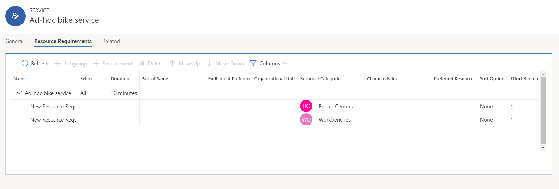Resource Requirements tab on Service record