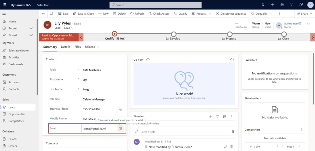 Screenshot showing an invalid email address in the primary lead entity form.