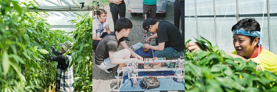 自動収穫ロボット「L」を活用する農家の方々