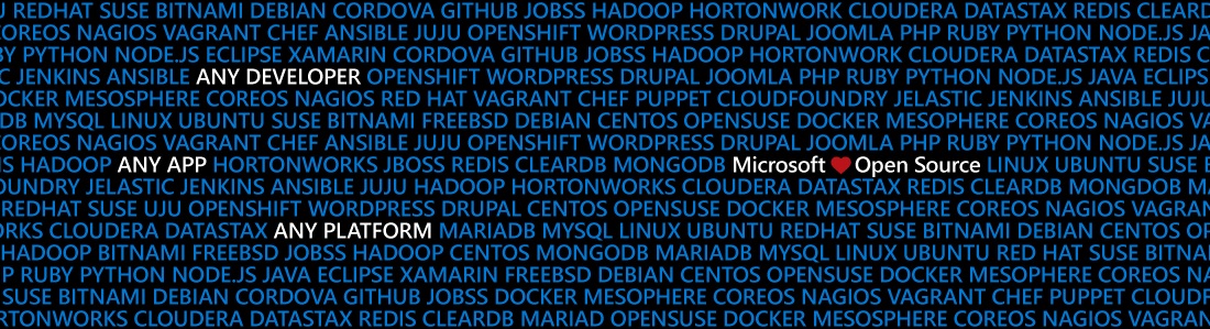 Microsoft European Virtual Open Source Summit