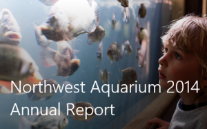 07B. Demo Sway tile - Northwest Aquarium