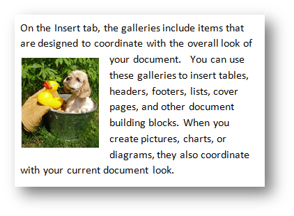 Photo inserted in text as floating figure; Puppy with rubber duck by Fotolia at Office.com/images Photo inserted in text as floating figure; Puppy with rubber duck by Fotolia at Office.com/images