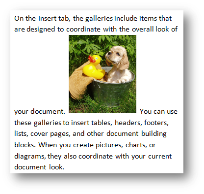 Puppy with rubber duck by Fotolia at Office.com/images Puppy with rubber duck by Fotolia at Office.com/images