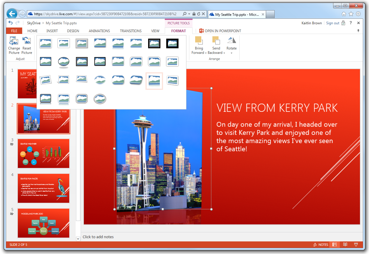 Screenshot of Format tab