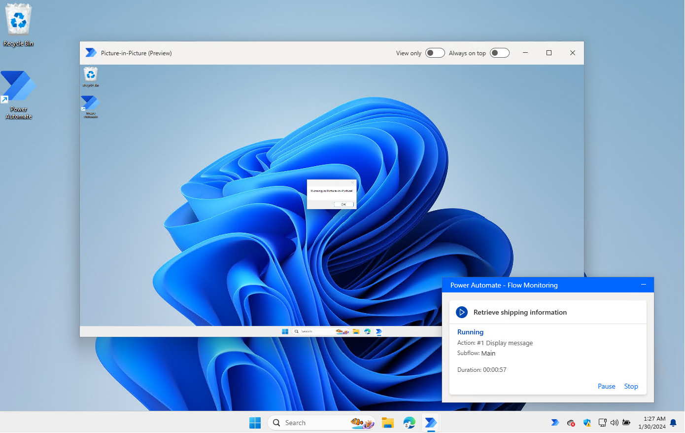 Picture-in-Picture window