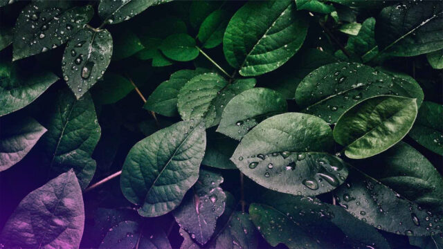 Research Summit 2022 -Resilience track - Enabling a Resilient and Sustainable World