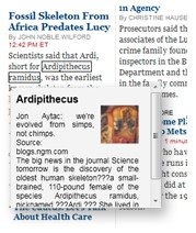 Social Web Experience 