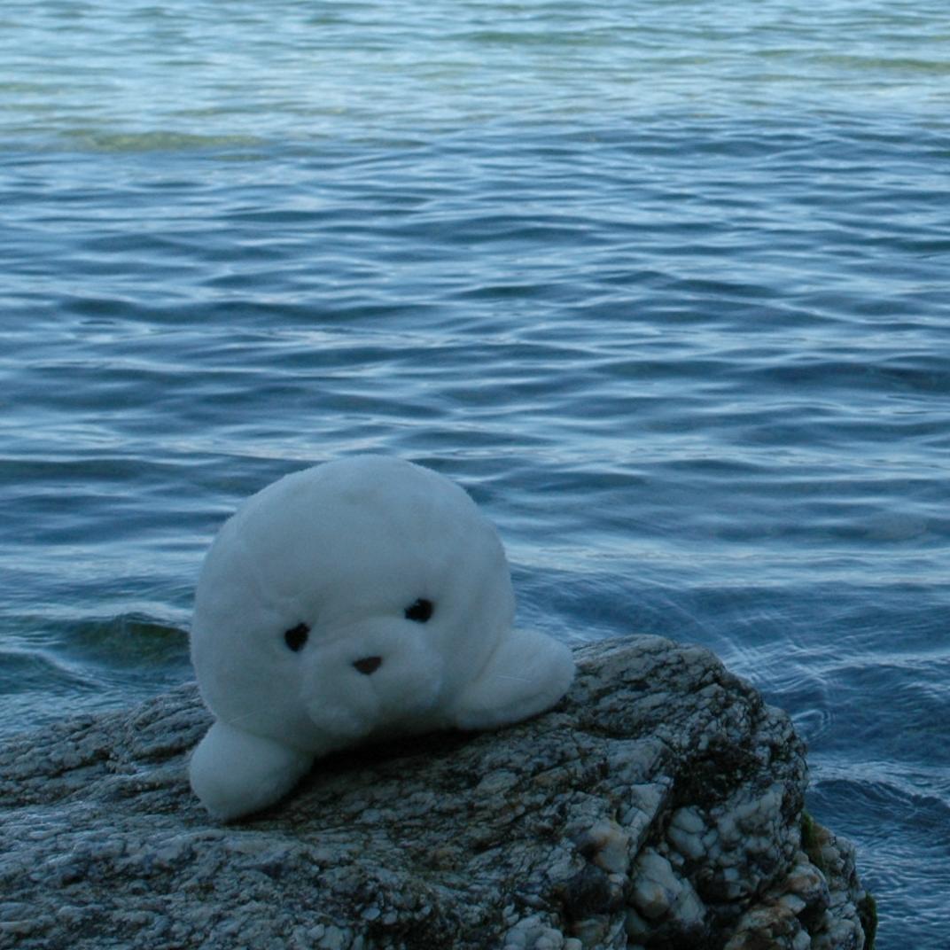 Portrait of Vicki Cao