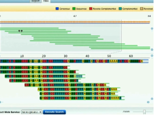 a screenshot of a computer