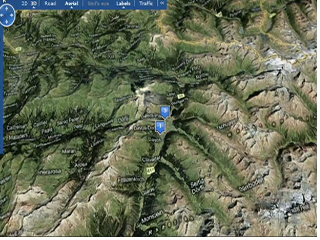 a close up of a tree