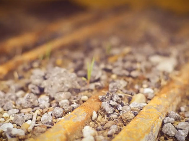 a close up of a rock