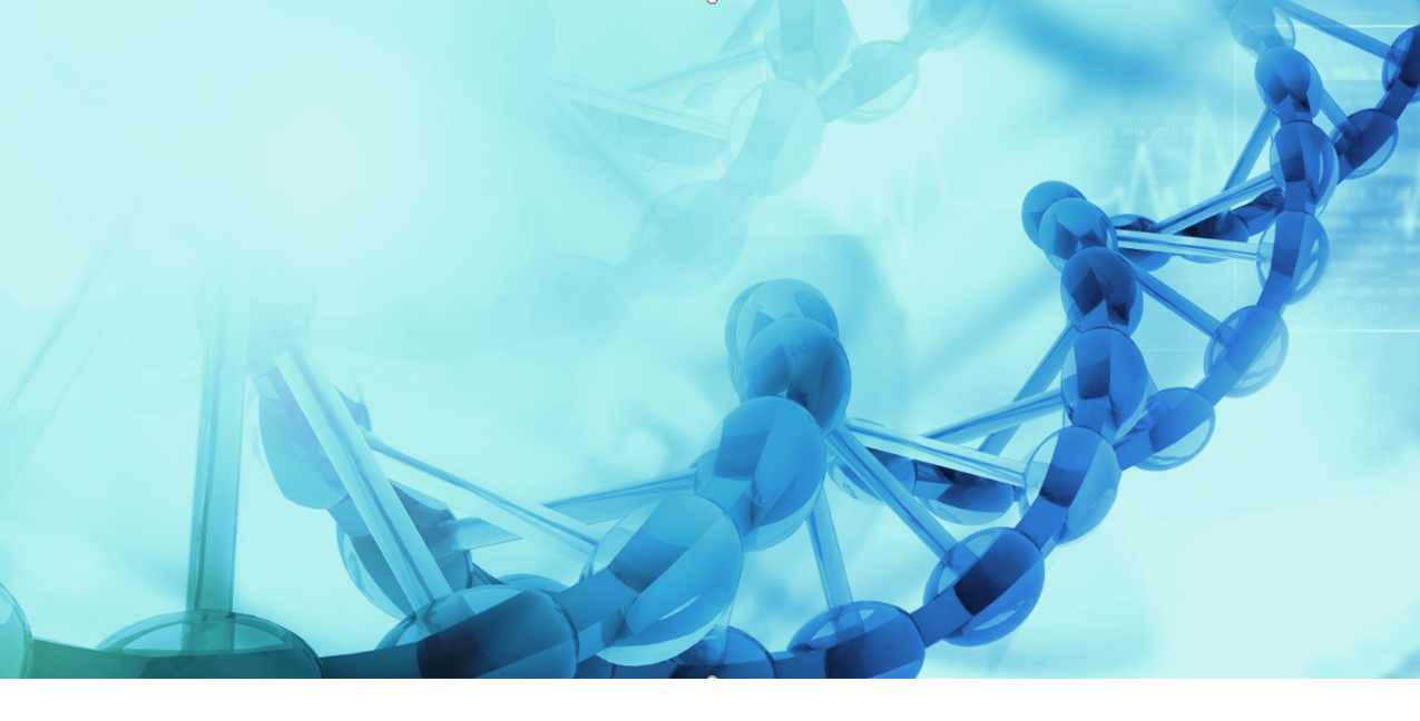 Computational Biology at MSR New England