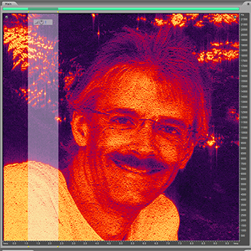 Portrait of David Johnston