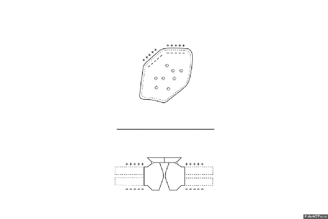 The electrical signal generated by cell depolarization through ion fluxes
