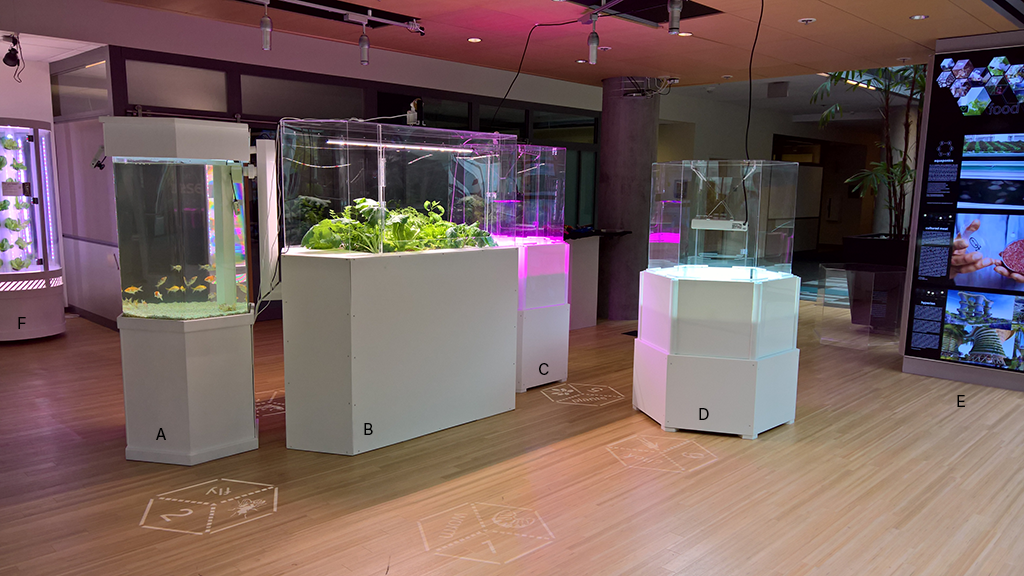 'Food Futures' Artist in Residence exhibit