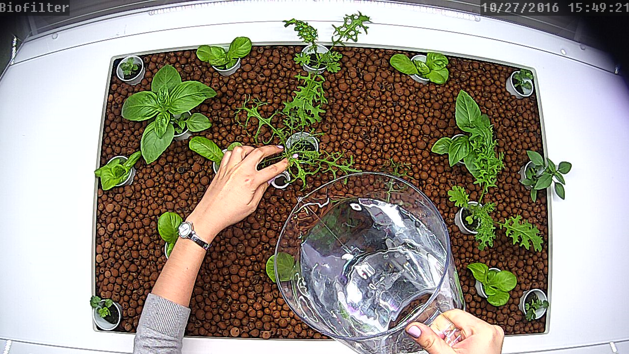 Food Futures Daily Yield Growth camera