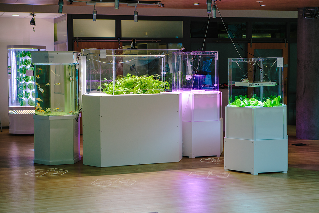 'Food Futures' Artist in Residence exhibit