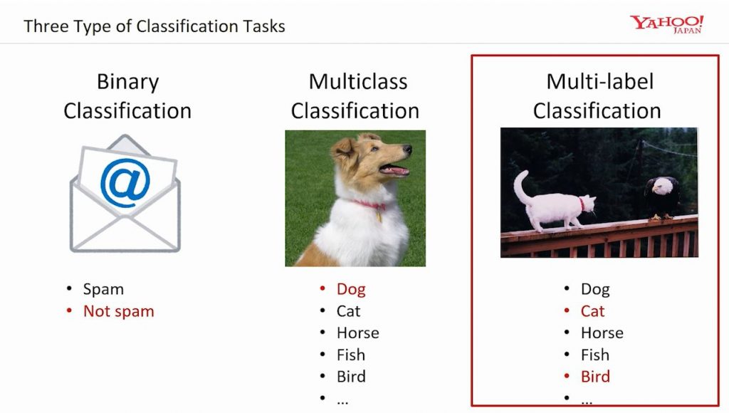 Extreme Multi-label Learning via Nearest Neighbor Graph Partitioning and Embedding