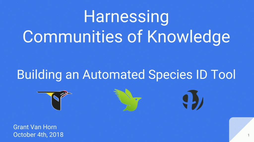 Building an Automated Species Identification Tool STILL