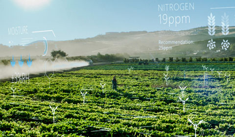 Farm field with AI overlay