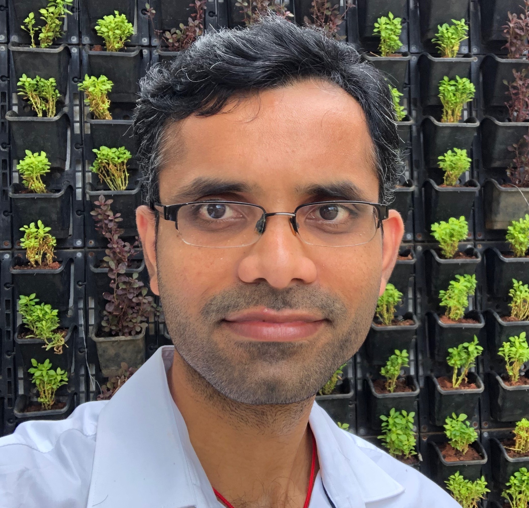 Portrait of Nagarajan Natarajan