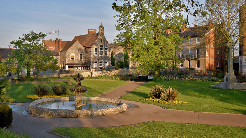 An image of a scene in the countryside with a tree in the foreground and open fields and hedgerows beyond