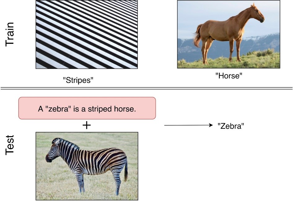 Figure 1: Two pieces of training data—an image of a black-and-white striped pattern labeled “stripes” and an image of a horse labeled “horse”—above testing data. The testing data is shown to consist of the sentence “A ‘zebra’ is a striped horse,” a piece of semantic information on the class “zebra,” enclosed in a pink box and an image of a zebra. The two are associated with a plus sign, and an arrow leads from the two to the inference that the image is “zebra.”