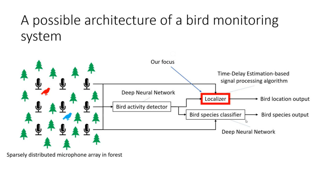 video: Forest Sound Scene Simulation