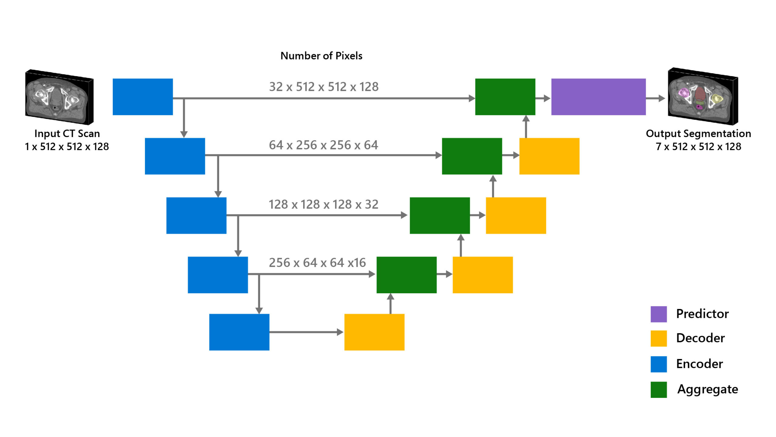 Project InnerEye illustration