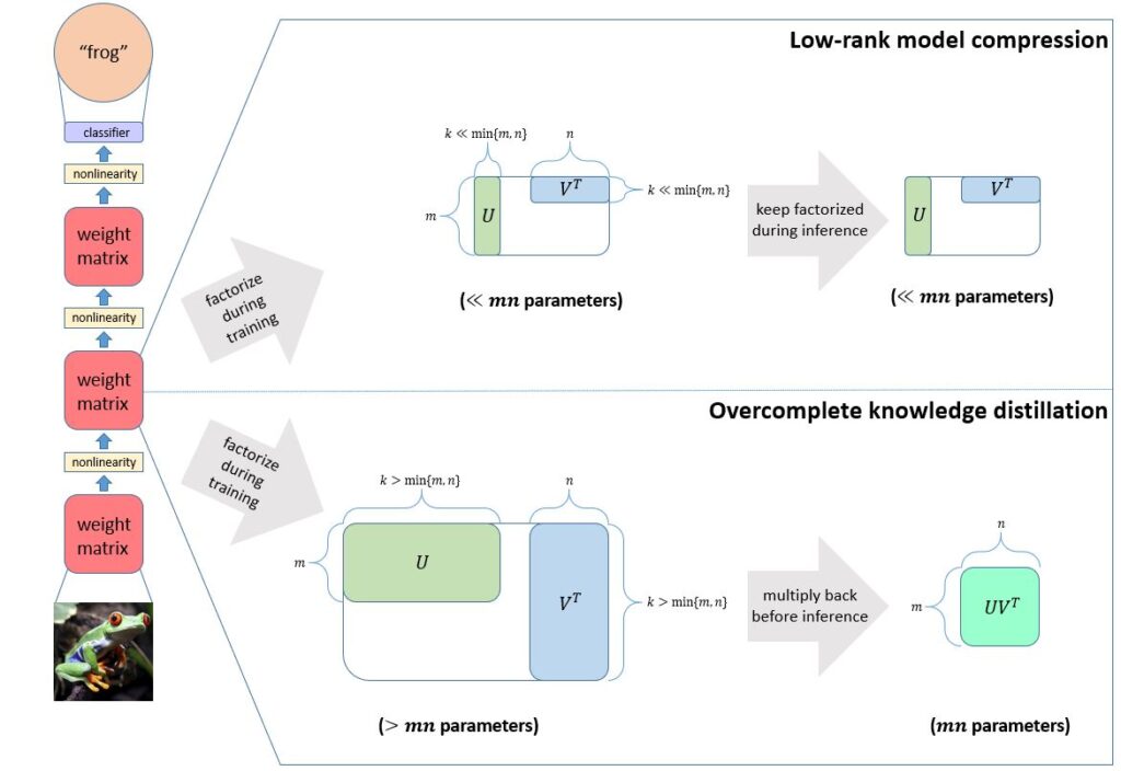 A flow chart of low-rank model compression and overcomplete knowledge distillation applied to a convolutional neural network. On the left, an image of a frog is passed through three weight matrices, each followed by a nonlinearity, and then on to a classifier that labels the image a “frog.” The second weight matrix has two arrows pointing from it, both labeled “factorize during training.” The first points to the low-rank model compression pipeline. Two rectangles represent weight matrices: one labeled “U” and the other “V superscript T,” with U being tall and narrow and V superscript T being short and wide. Below the image is the label “($\ll mn$ parameters).” Another arrow labeled “keep factorized during inference” points to the same image. The second arrow labeled “factorize during training” points to the overcomplete knowledge distillation pipeline. Two rectangles represent weight matrices: one labeled “U” and the other “V superscript T,” with U being short and wide and V superscript T being tall and narrow. Below the image is the label ($>mn$ parameters). An arrow labeled “multiply back before inference” points to a square labeled “UV superscript T” with the caption “(mn parameters).”