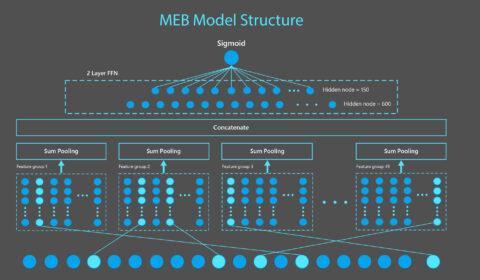 Technical diagram of MEB model. MEB is a sparse neural network model composed of an input layer taking in binary features, a feature embedding layer transforming each binary feature into a 15-dimension vector, a sum pooling layer applied on each of 49 feature groups and concatenated to produce a 735-dimension vector, which is then passed through two dense layers to produce a click probability. Features shown in this figure are generated from the example query “Microsoft Windows” and document new-cm-edgedigital.pages.dev/en-us/windows.