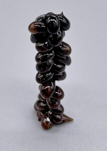 Project Zerix: photo of biodegradable plastics