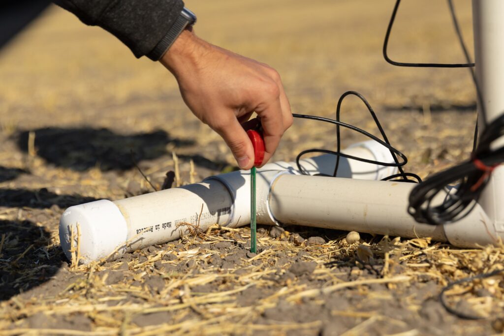 close up of hands during fertilization of crops