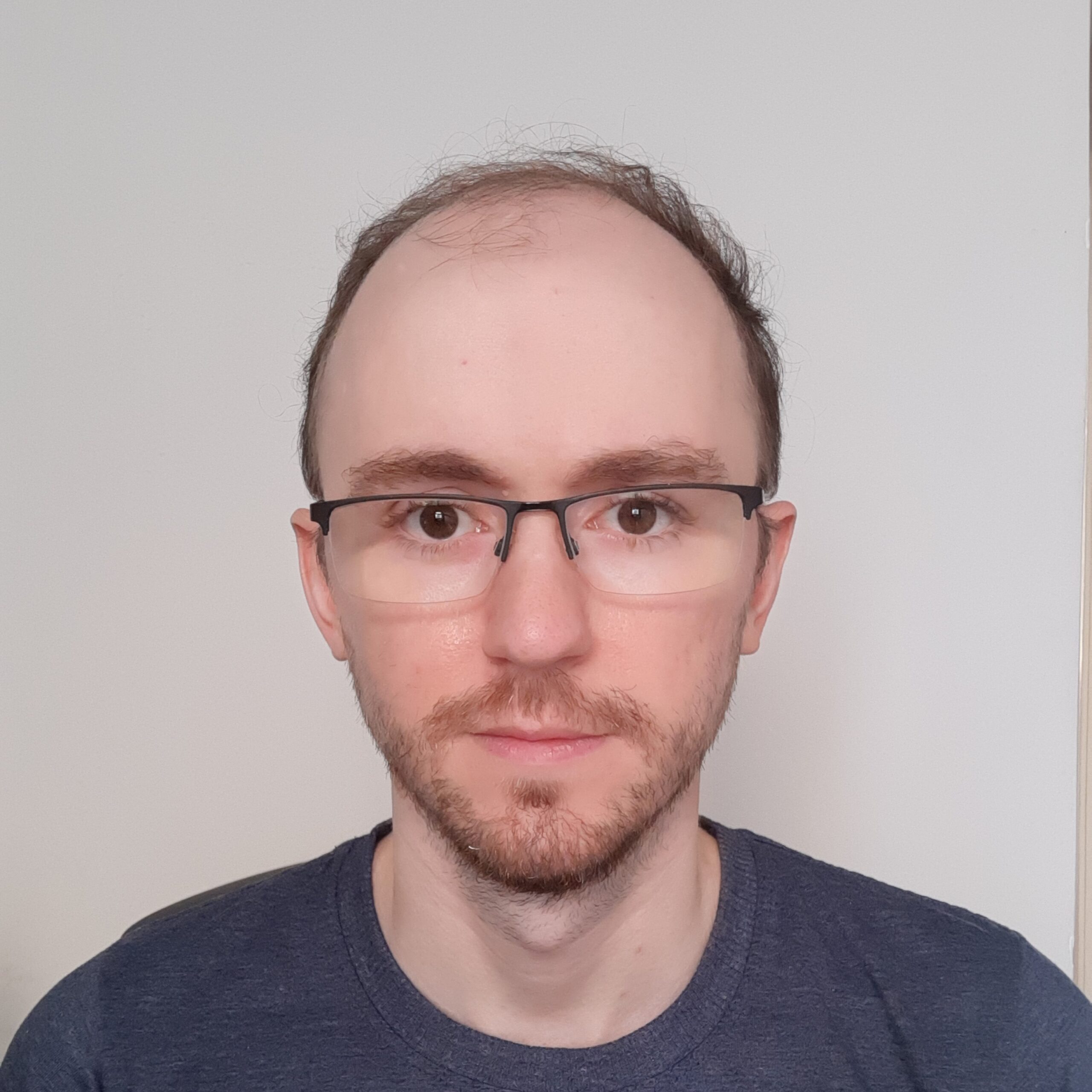 Portrait of Hugo Barbalho