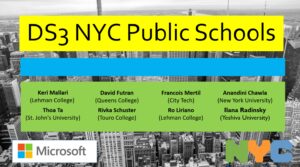 DS3 - 2017_Cover Image