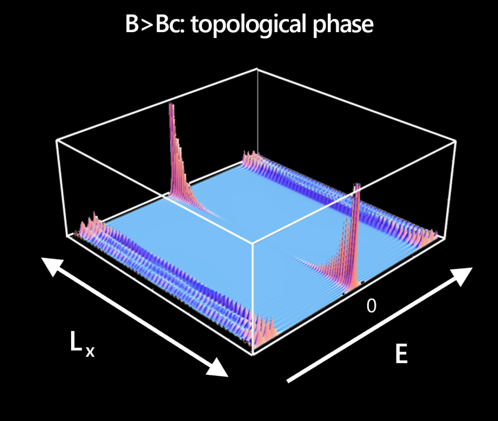Quantum computing: Topo phase