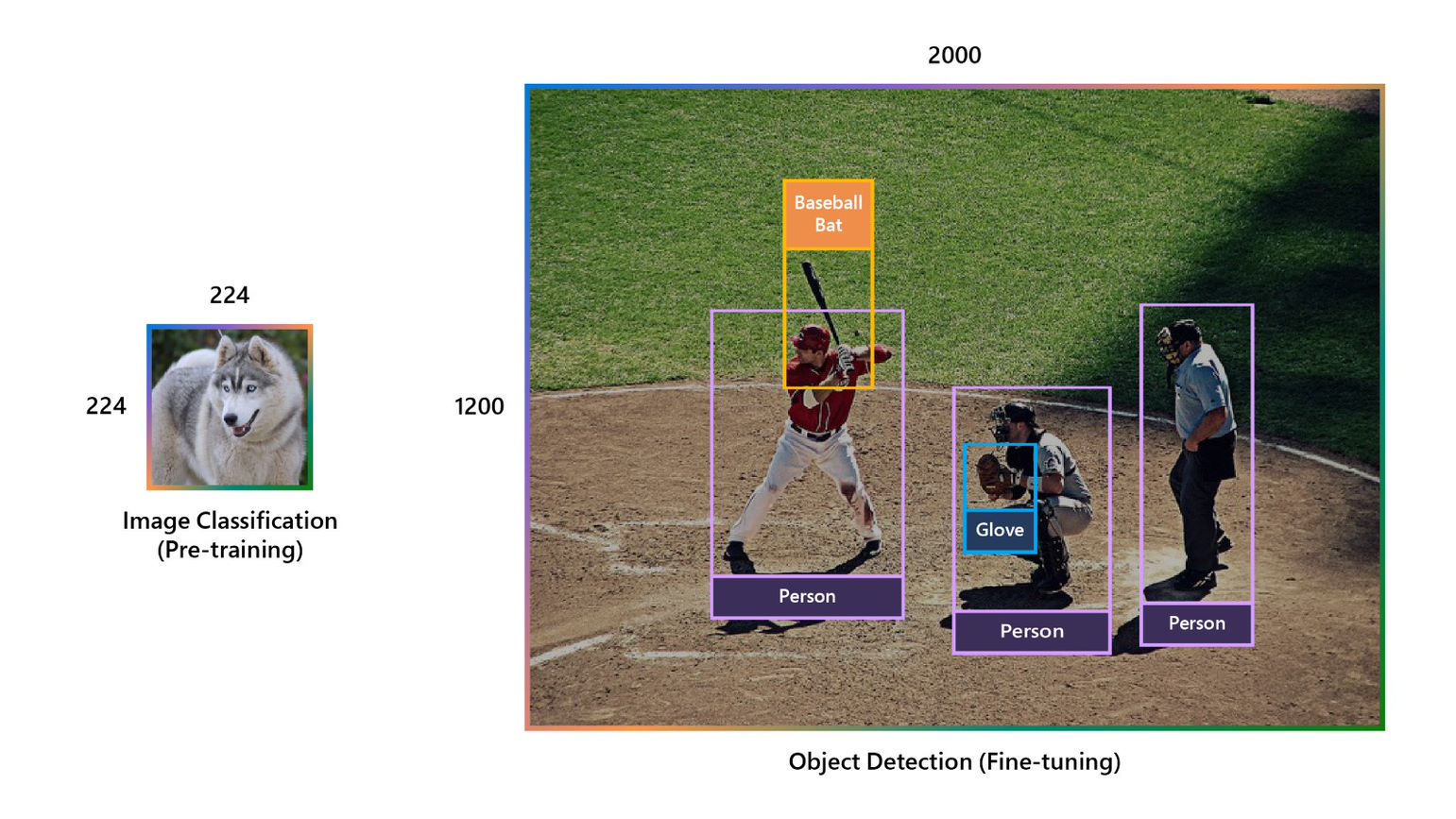 On the left, a tightly cropped image of a dog with an indicated resolution of 224 x 224 labeled