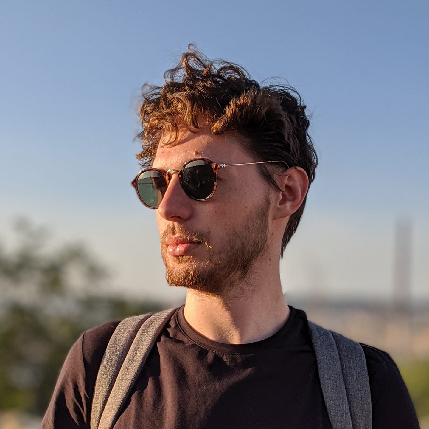 Portrait of Dominic Ayre