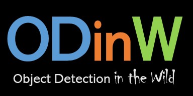 ODinW Challenge (35 datasets)