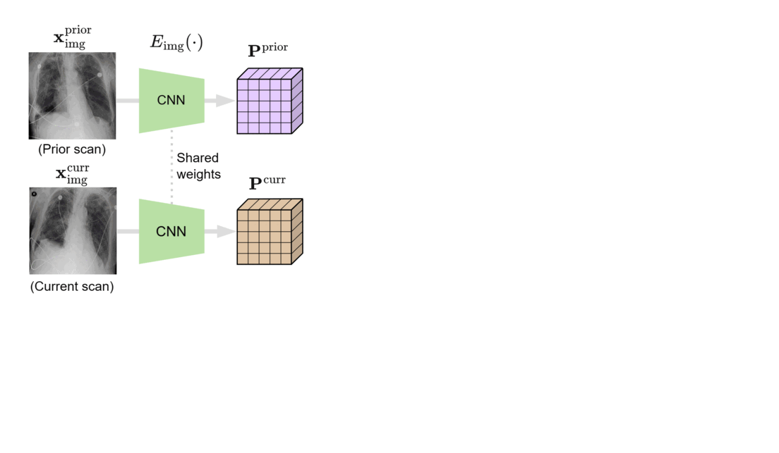 An animated flowchart of BioViL-T. Arrows direct from a prior chest x-ray and current chest x-ray through boxes labeled “CNN” to image embeddings, illustrated by a purple cube and a brown cube, respectively, representing relevant spatial and temporal features. An arrow points from these features through a box labeled “Vision Transformer Blocks” to a “difference embedding,” represented by a blue cube. A curly bracket pointing to a brown and blue cube labeled “image features” indicates the aggregation of the current image embedding and the difference embedding. Arrows from the “image features” cube and from an extract from a radiology report point to a text model, represented by box labeled “CXR-BERT.”