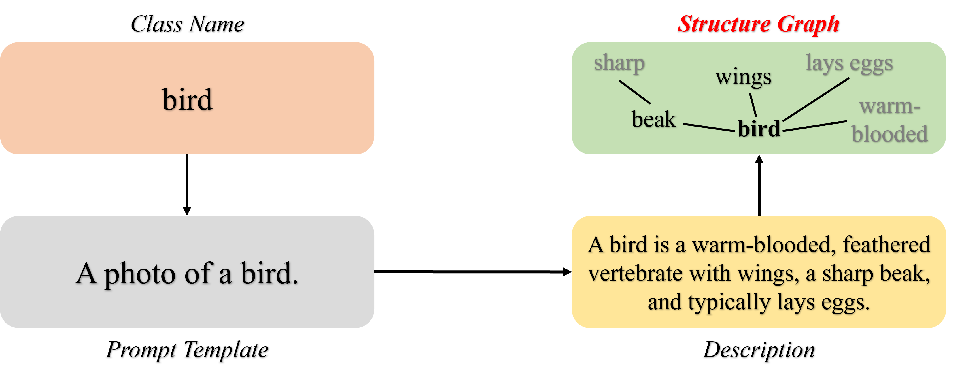 An example of three types of prompts used in VLM to recognize bird, which is  templated prompt (a photo of a bird), a natural language based prompt that descript the bird category, and a tree structured prompt highlight the key entities of birds and the corresponding attributes, such as beak, wings, etc.  