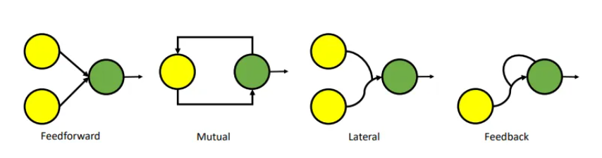Brain-inspired design: The evolutionary path of artificial intelligence - diagram