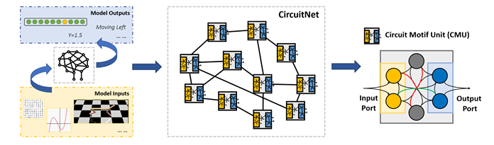 Brain-inspired design: The evolutionary path of artificial intelligence - flow diagram