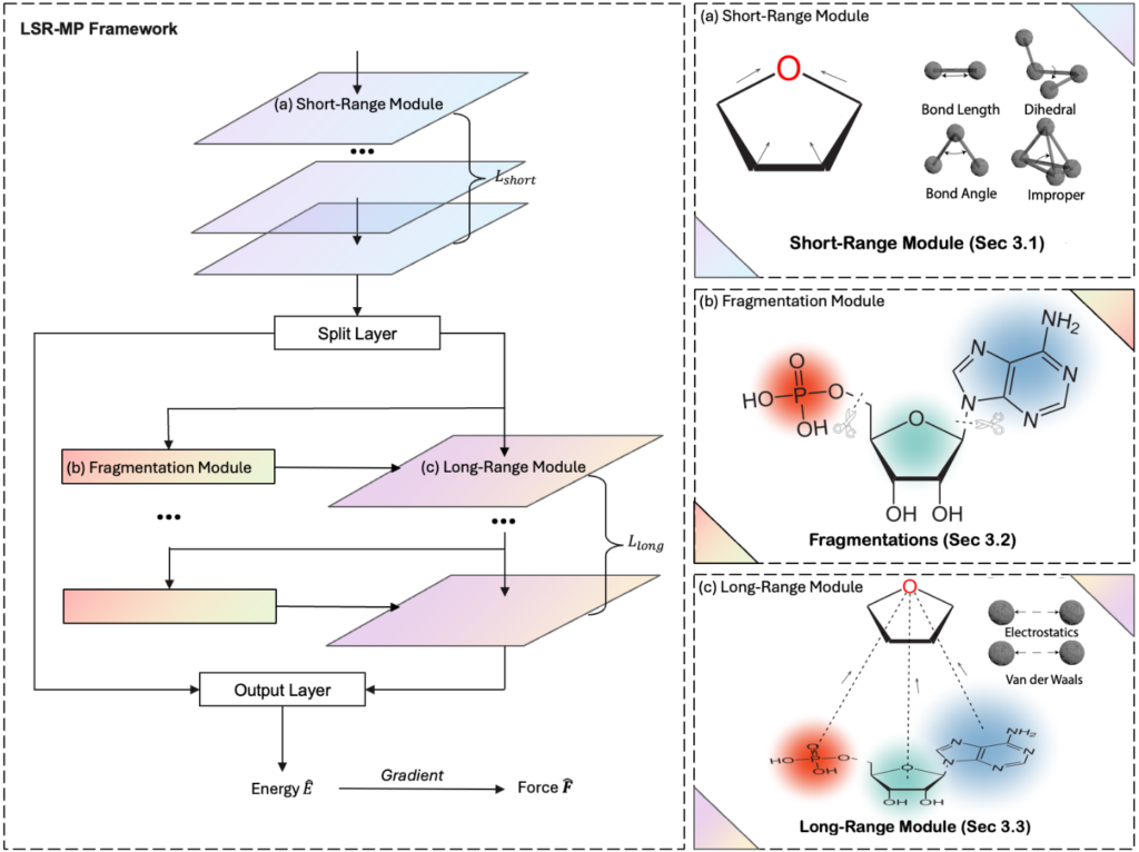 LSR-MP Framework diagram