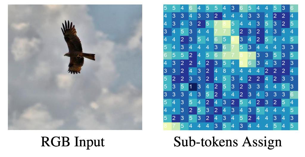 Multi-Head Mixture-of-Experts - side-by-side images for RGB Input and Sub-tokens Assign