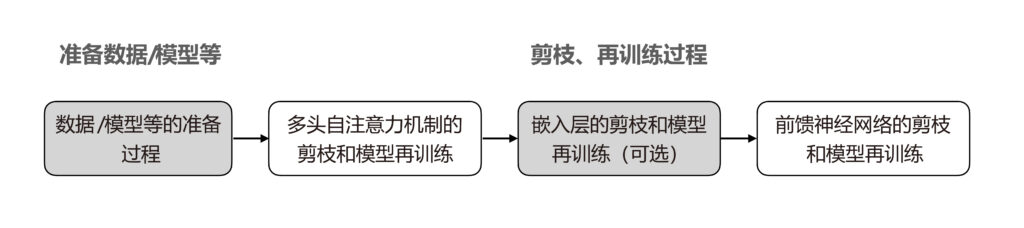 图1：Transformer 系列模型的剪枝流程示意图