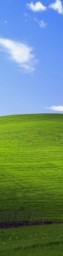 a close up of a lush green field